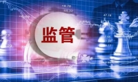 广东明珠：2025年一季度净利润5388