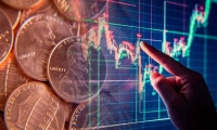 金钟股份：全资子公司取得不动产权证书